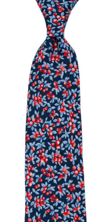 BACCARINO Navy blue Krawatte
