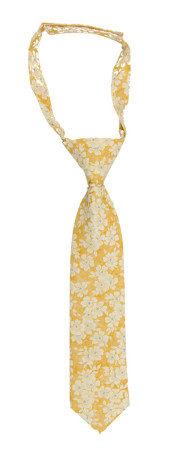 AFFECTIONATE YELLOW kinderkrawatte klein vorgebundene