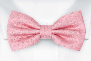 AUGURI Pale pink Fliege