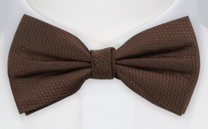 BIRDSEYE BROWN gebundene Fliege