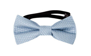 BIRDSEYE Dusty blue babyfliege