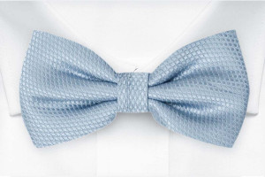 BIRDSEYE Dusty blue Fliege