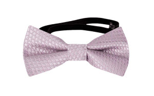 BIRDSEYE Dusty purple babyfliege