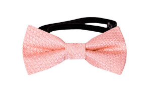 BIRDSEYE Pale pink babyfliege