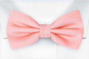BIRDSEYE Pale pink Fliege