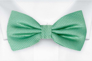 BIRDSEYE Seafoam turquoise Fliege