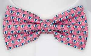BOCCAGLIO Pink Fliege