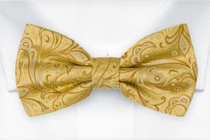 BRIDALLY Golden yellow Fliege