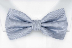 BRUDGUM Light blue Fliege