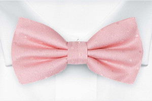 BRUDGUM Pale pink Fliege