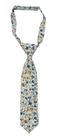 CALLITADY BLUE kinderkrawatte klein vorgebundene