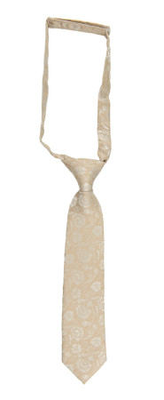 ENCHANTMENT CHAMPAGNE kinderkrawatte klein vorgebundene