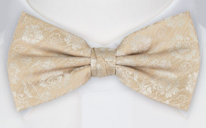 ENCHANTMENT CHAMPAGNE Fliege