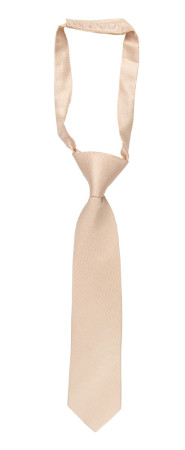 Espousal Champagne Pink kinderkrawatte klein vorgebundene