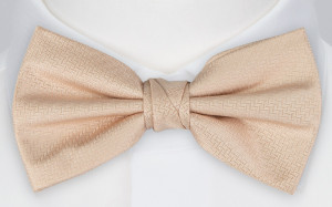 Espousal Champagne Pink Fliege