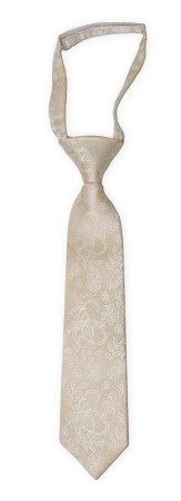 EVERAFTER Champagne gold kinderkrawatte klein vorgebundene