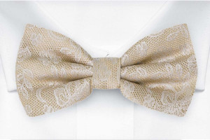 EVERAFTER Champagne gold Fliege
