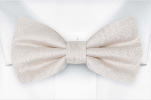 EVERAFTER Ivory Fliege