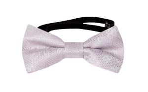 EVERAFTER Pale purple babyfliege
