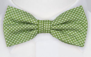 GILLA GREEN Fliege