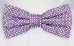 GILLA PURPLE Fliege
