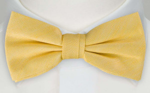 OGONSTEN YELLOW Fliege