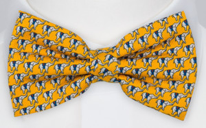 BOCCAGLIO Yellow Fliege