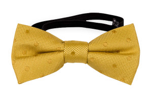 BRUDGUM Gold babyfliege