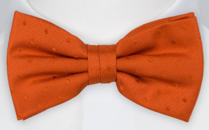 BRUDGUM Orange Fliege