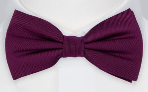 DIGGIDY AUBERGINE Fliege