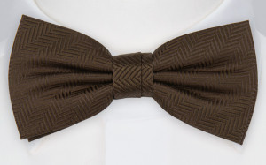 DRUMMEL BROWN Fliege