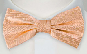 JAGGED Apricot Fliege