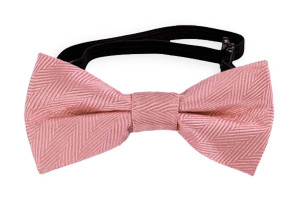 JAGGED Pink Babyfliege