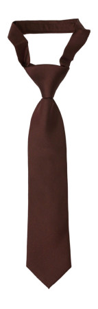 SOLID Brown Kinderkrawatte klein vorgebundene