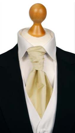 SOLID Champagne gebundene Plastron