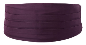 SOLID Eggplant Kummerbund