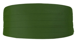 SOLID Green kummerbund