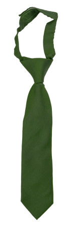 SOLID Green kinderkrawatte klein vorgebundene