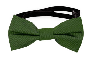 SOLID Green babyfliege