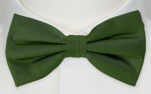 SOLID Green Kinderfliege