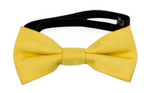 SOLID Lemon Babyfliege
