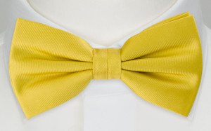 SOLID Lemon Kinderfliege
