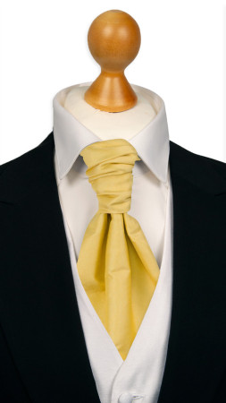 SOLID Light yellow gebundene Plastron
