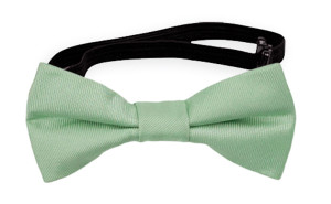 SOLID Pastel green babyfliege