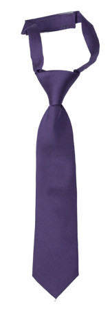 SOLID Purple Kinderkrawatte klein vorgebundene