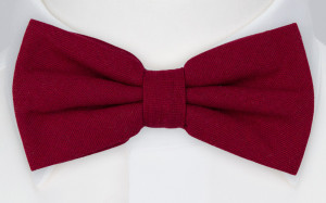 WISTFUL Dark red Fliege