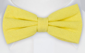 WISTFUL Light yellow Fliege
