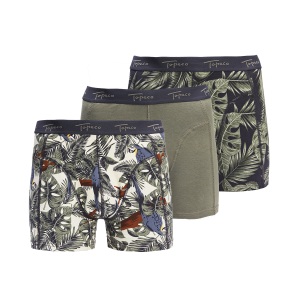 COTTON BOXER 3P GREEN unterhose
