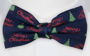 MERRYMESSAGE BLUE Fliege