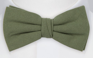 MOREAMORE Laurel green Fliege